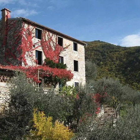 Peralta Tuscany Camaiore