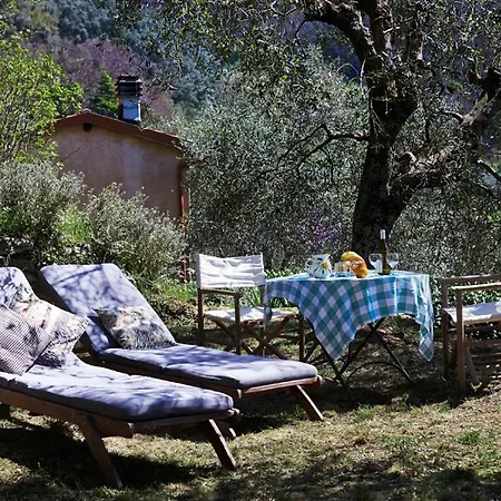 Peralta Tuscany Camaiore