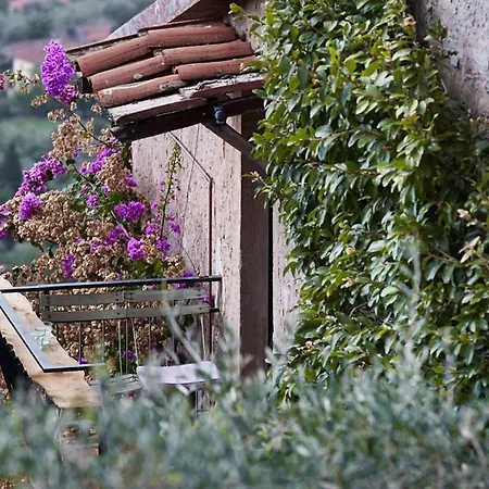 Peralta Tuscany Camaiore