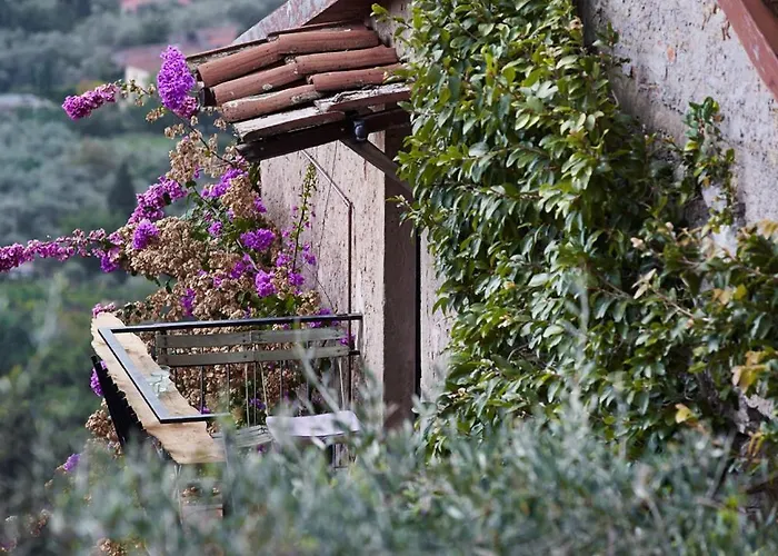 Peralta Tuscany Камайоре