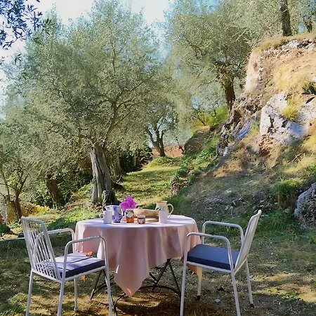 Peralta Tuscany *