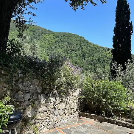 Peralta * Camaiore
